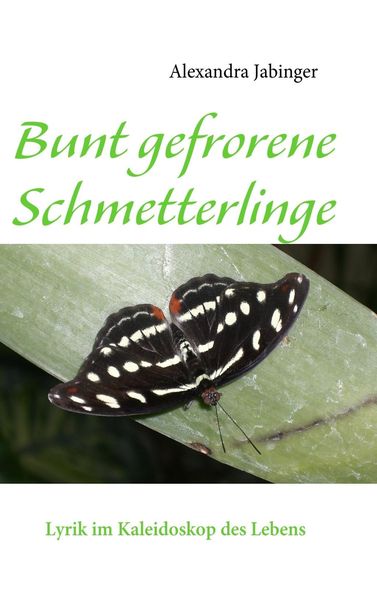 Produktbild: Bunt gefrorene Schmetterlinge