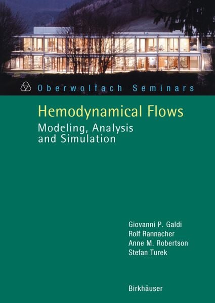 Produktbild: Hemodynamical Flows