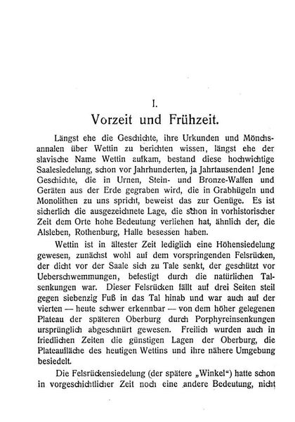Produktbild: Die Burg Wettin und die Wettiner