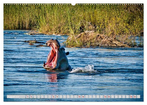 Produktbild: Namibia &ndash; Die Tierwelt vom Caprivi bis Etosha (Wandkalender 2026 DIN A2 quer), CALVENDO Monatskalender