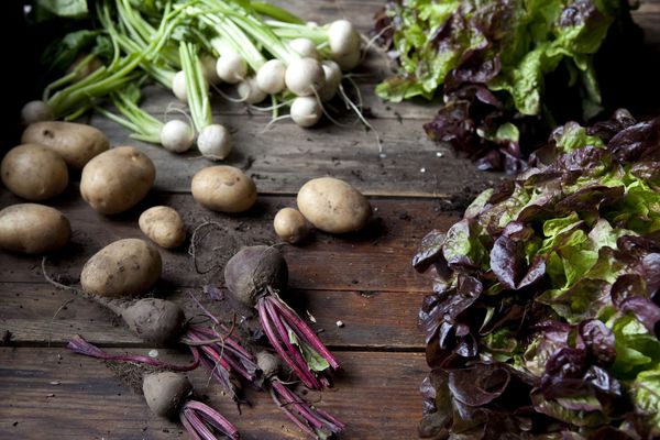 Produktbild: Zum Gl&uuml;ck Gem&uuml;se. 350 Gem&uuml;serezepte f&uuml;r alle Jahreszeiten