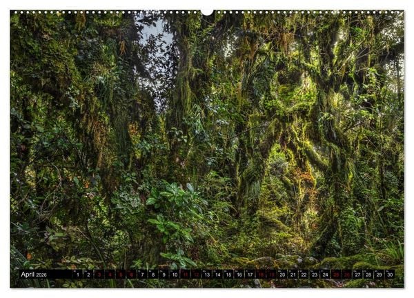 Produktbild: Trauminseln Neuseeland (hochwertiger Premium Wandkalender 2026 DIN A2 quer), Kunstdruck in Hochglanz