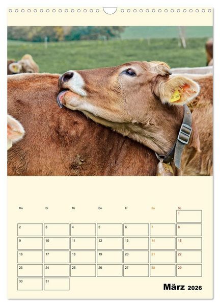 Produktbild: Gl&uuml;ckliche Bergk&uuml;he (Wandkalender 2026 DIN A3 hoch), CALVENDO Monatskalender