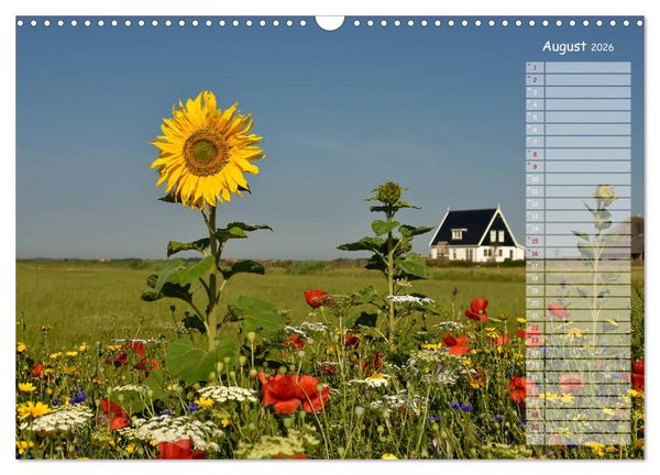 Produktbild: Ein Sommer auf Texel (Wandkalender 2026 DIN A3 quer), CALVENDO Monatskalender