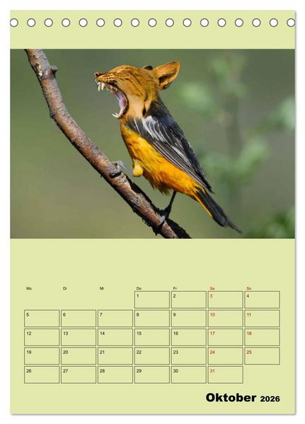 Produktbild: Seltsame Tiere - da stimmt doch was nicht... (Tischkalender 2026 DIN A5 hoch), CALVENDO Monatskalender