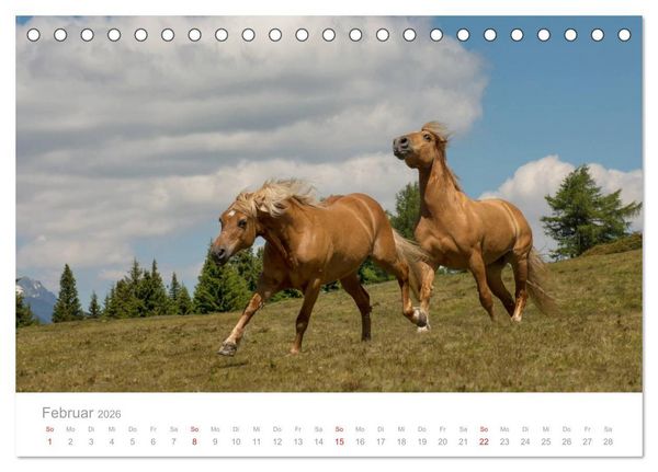 Produktbild: Pferde - In nat&uuml;rlicher Umgebung (Tischkalender 2026 DIN A5 quer), CALVENDO Monatskalender