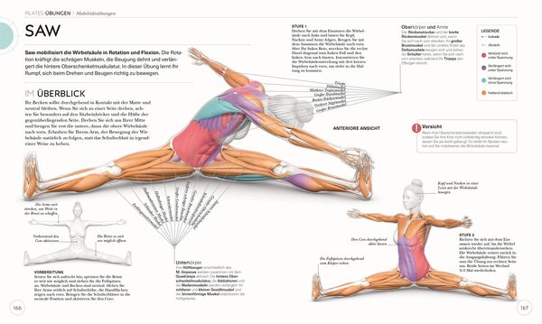 Produktbild: Pilates - Die Anatomie verstehen