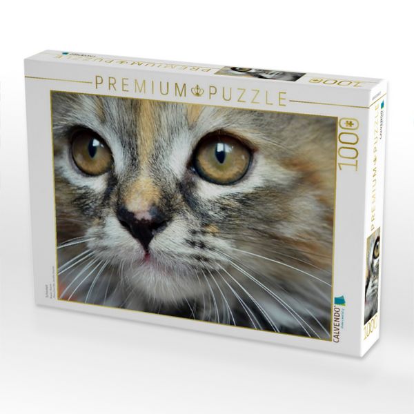 Produktbild: CALVENDO Puzzle Sch&ouml;nheit | 1000 Teile Lege-Gr&ouml;&szlig;e 64x48cm Foto-Puzzle f&uuml;r gl&uuml;ckliche Stunden