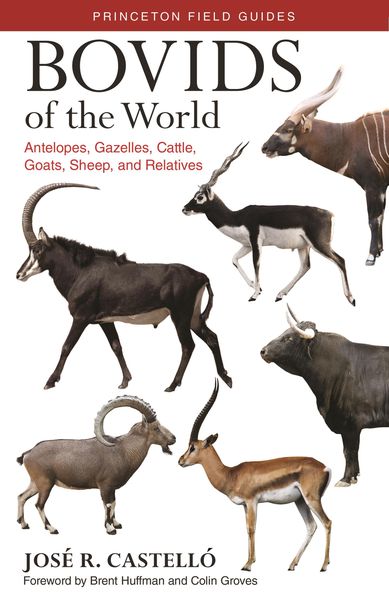 Produktbild: Bovids of the World