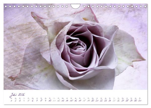 Produktbild: Lila Bl&uuml;ten (Wandkalender 2026 DIN A4 quer), CALVENDO Monatskalender