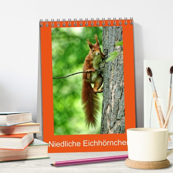 Produktbild: Niedliche Eichh&ouml;rnchen (Tischkalender 2026 DIN A5 hoch), CALVENDO Monatskalender
