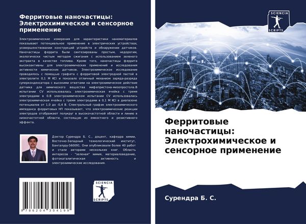 Produktbild: Ferritowye nanochasticy: Jelektrohimicheskoe i sensornoe primenenie
