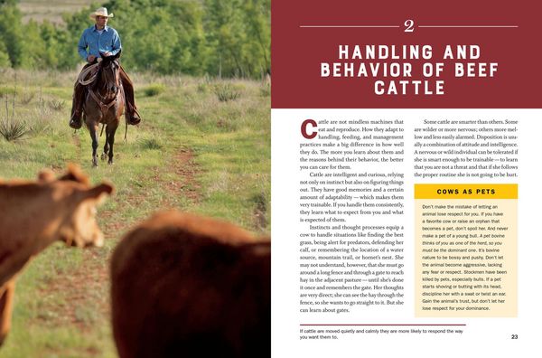 Produktbild: Storey's Guide to Raising Beef Cattle, 4th Edition