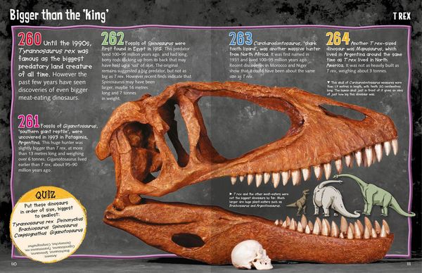 Produktbild: Wild About Dinosaurs