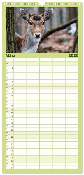 Produktbild: Familienplaner 2026 - HIRSCHE UND REHE - Ein Jahr in freier Wildbahn mit 5 Spalten (Wandkalender, 21 x 45 cm) CALVENDO