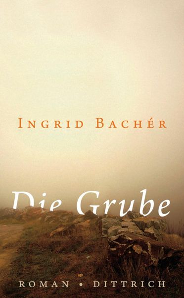Produktbild: Die Grube