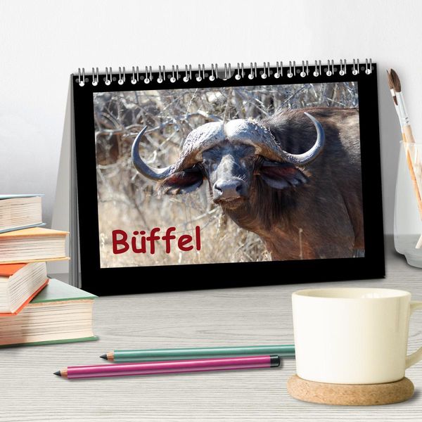 Produktbild: B&uuml;ffel (Tischkalender 2026 DIN A5 quer), CALVENDO Monatskalender