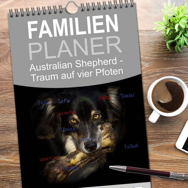 Produktbild: Familienplaner 2026 - Australian Shepherd - Traum auf vier Pfoten mit 5 Spalten (Wandkalender, 21 x 45 cm) CALVENDO