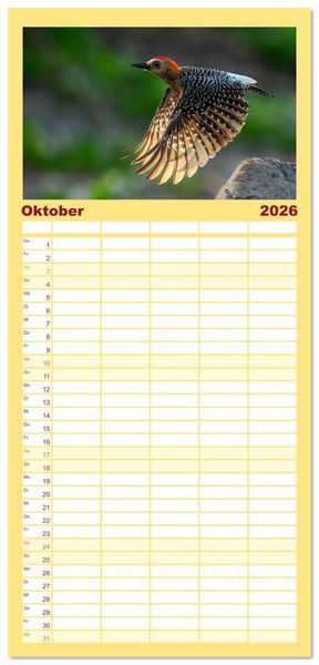 Produktbild: Familienplaner 2026 - Tropische V&ouml;gel Costa Ricas mit 5 Spalten (Wandkalender, 21 x 45 cm) CALVENDO