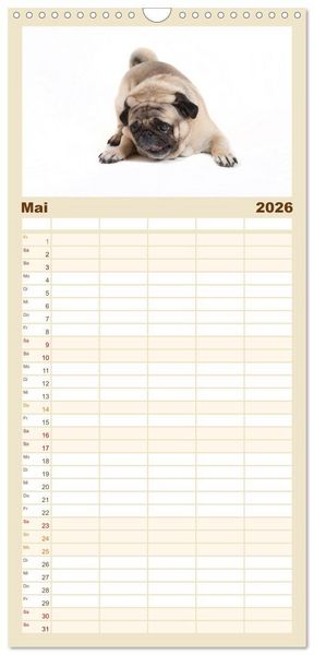 Produktbild: Familienplaner 2026 - Mops - unwiderstehlich und charmant mit 5 Spalten (Wandkalender, 21 x 45 cm) CALVENDO
