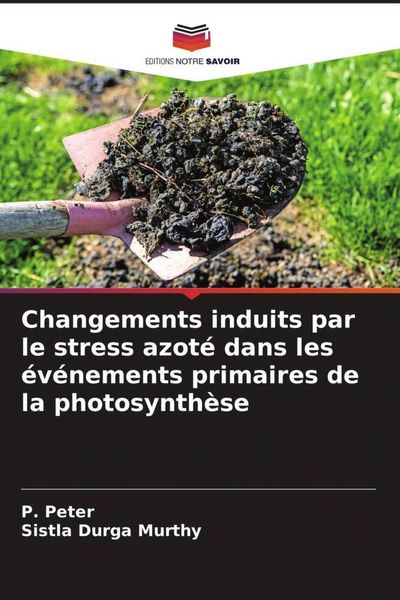 Produktbild: Changements induits par le stress azot&eacute; dans les &eacute;v&eacute;nements primaires de la photosynth&egrave;se