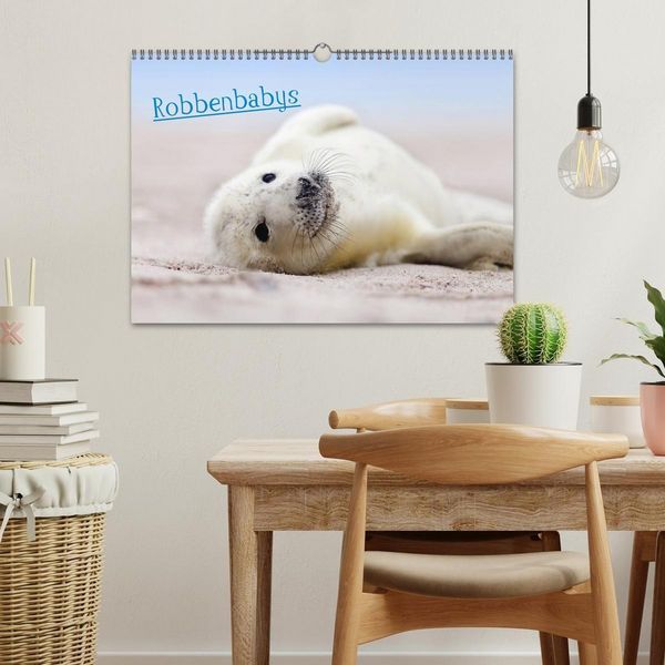 Produktbild: Robbenbabys (Wandkalender 2027 DIN A3 quer), CALVENDO Monatskalender