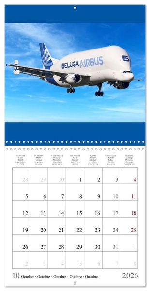 Produktbild: Gayde, F: Airplanes in the blue sky (Wall Calendar 2026 12 &times;