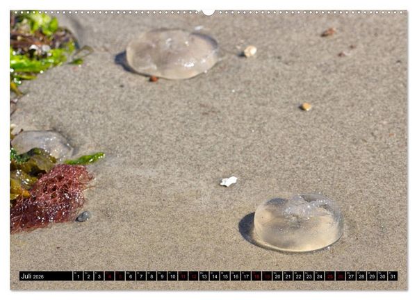 Produktbild: Laboe - Urlaub am Meer (hochwertiger Premium Wandkalender 2026 DIN A2 quer), Kunstdruck in Hochglanz