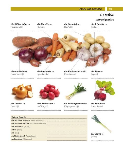 Produktbild: PONS Bildwörterbuch Deutsch als Fremdsprache