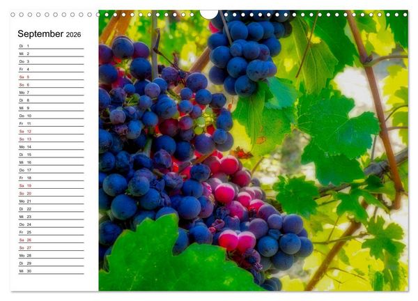 Produktbild: Piemont und Turin (Wandkalender 2026 DIN A3 quer), CALVENDO Monatskalender