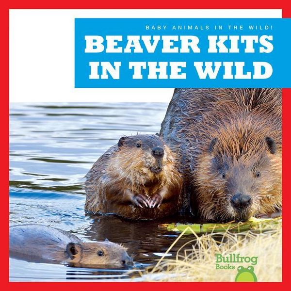 Produktbild: Beaver Kits in the Wild