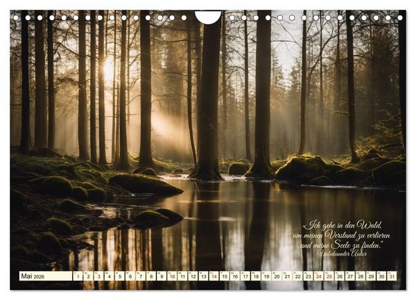 Produktbild: Waldbaden - Shinrin Yoku (Wandkalender 2026 DIN A4 quer), CALVENDO Monatskalender