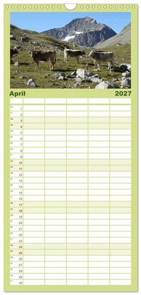 Produktbild: Familienplaner 2027 - K&uuml;he mit H&ouml;rnern mit 5 Spalten (Wandkalender, 21 x 45 cm) CALVENDO