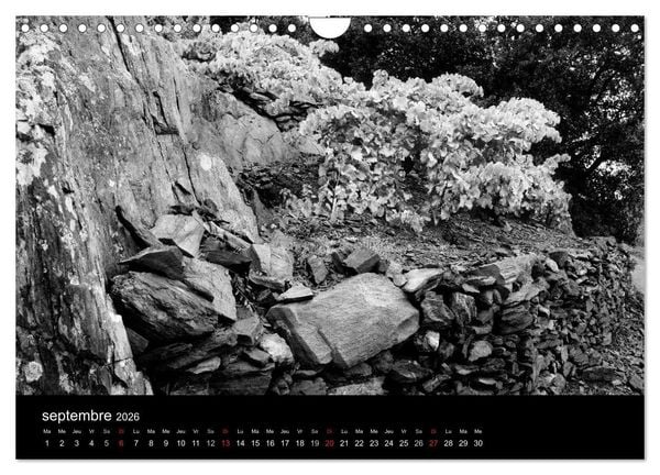 Produktbild: VIGNES DU SUD terroirs d'AOC (Calendrier mural 2026 DIN A4 vertical), CALVENDO calendrier mensuel