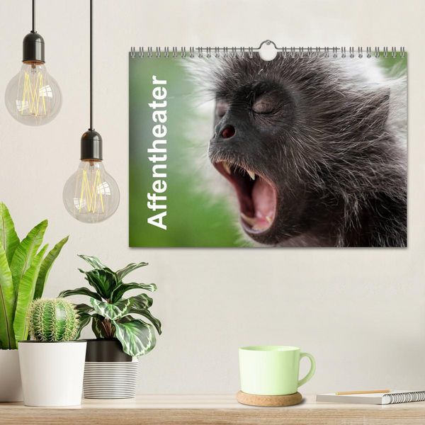 Produktbild: Affentheater (Wandkalender 2026 DIN A4 quer), CALVENDO Monatskalender