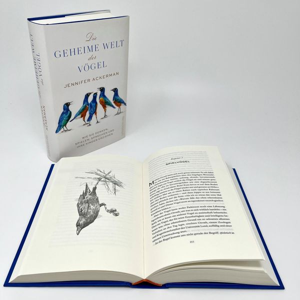 Produktbild: Die geheime Welt der V&ouml;gel