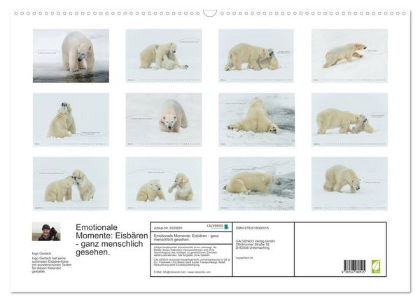 Produktbild: Emotionale Momente: Eisb&auml;ren - ganz menschlich gesehen. (Wandkalender 2026 DIN A2 quer), CALVENDO Monatskalender