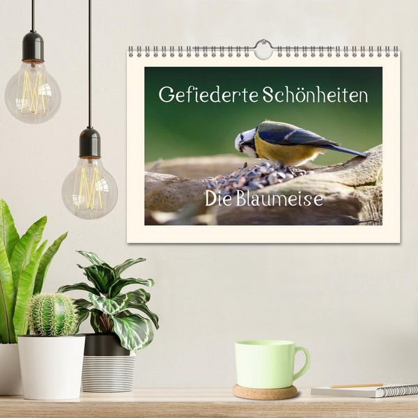 Produktbild: Gefiederte Sch&ouml;nheiten - Die Blaumeise (Wandkalender 2026 DIN A4 quer), CALVENDO Monatskalender