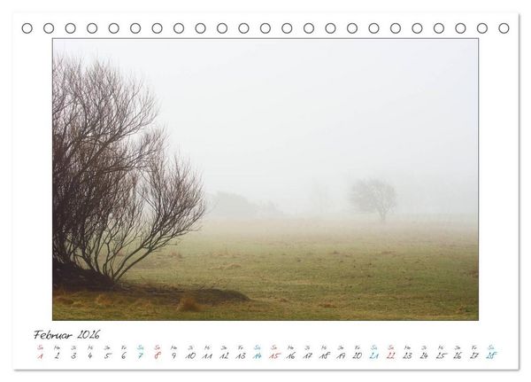 Produktbild: Amrum - Farben einer Insel (Tischkalender 2026 DIN A5 quer), CALVENDO Monatskalender