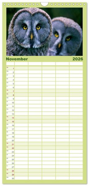 Produktbild: Familienplaner 2026 - Tiere des Waldes mit 5 Spalten (Wandkalender, 21 x 45 cm) CALVENDO