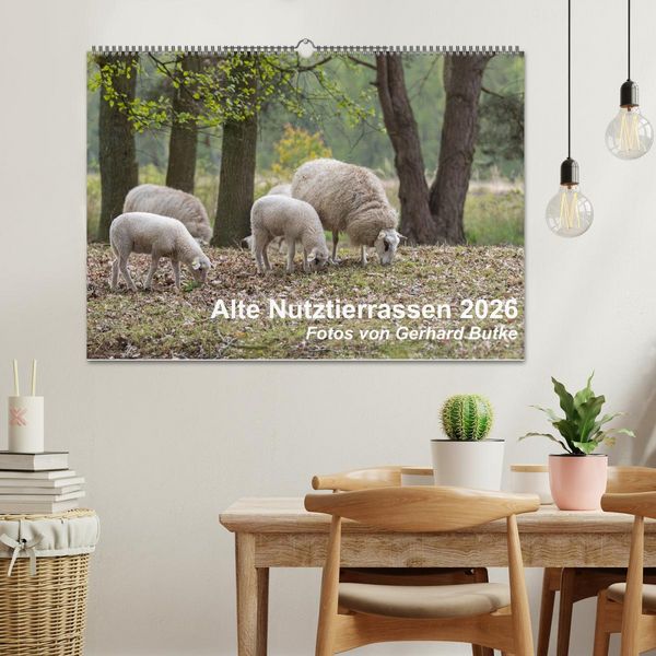 Produktbild: Alte Nutztierrassen 2026 (Wandkalender 2026 DIN A2 quer), CALVENDO Monatskalender