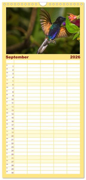 Produktbild: Familienplaner 2026 - Kolibris; Anmut, Sch&ouml;nheit, Farben mit 5 Spalten (Wandkalender, 21 x 45 cm) CALVENDO