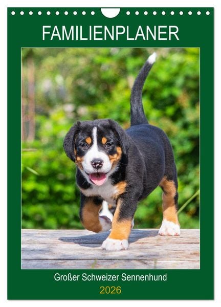 Familienplaner Großer Schweizer Sennenhund (Wandkalender 2026 DIN A4 hoch), CALVENDO Monatskalender