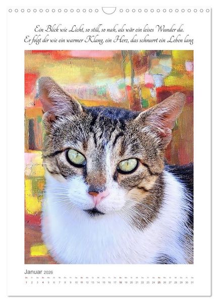 Produktbild: Katzenlyrik - Zw&ouml;lf Seelen auf Samtpfoten in Wort und Bild (Wandkalender 2026 DIN A3 hoch), CALVENDO Monatskalender