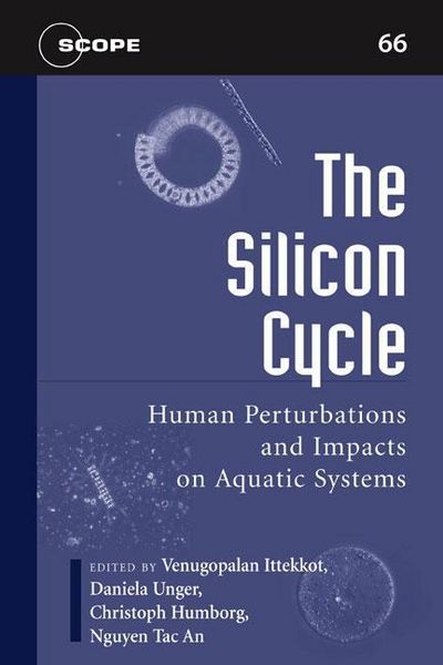 Produktbild: Silicon Cycle