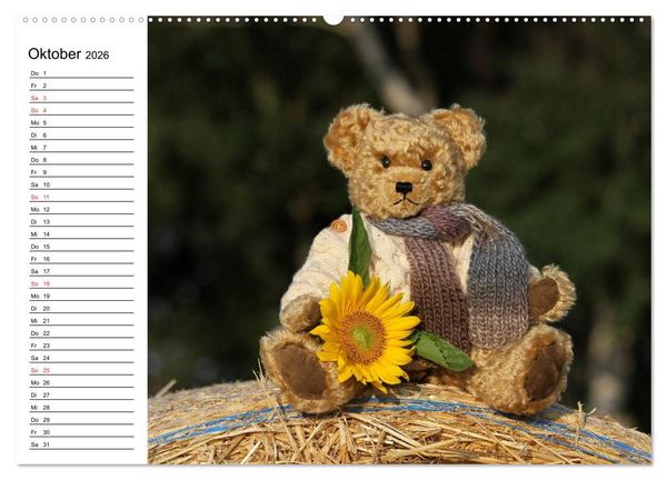 Produktbild: Teddy unterwegs (hochwertiger Premium Wandkalender 2026 DIN A2 quer), Kunstdruck in Hochglanz