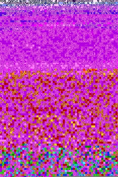 Produktbild: The Double-crested Cormorant