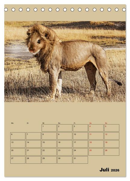 Produktbild: Seltsame Tiere - da stimmt doch was nicht... (Tischkalender 2026 DIN A5 hoch), CALVENDO Monatskalender