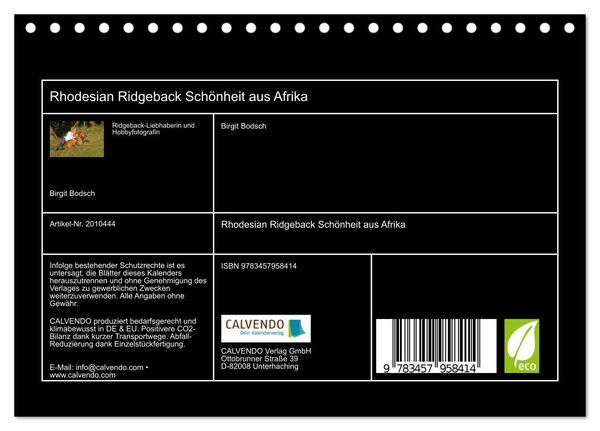 Produktbild: Rhodesian Ridgeback Sch&ouml;nheit aus Afrika (Tischkalender 2026 DIN A5 quer), CALVENDO Monatskalender