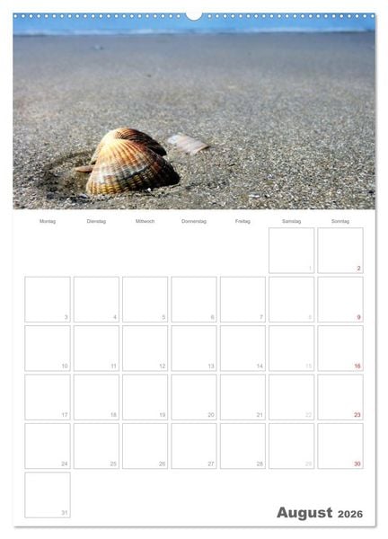 Produktbild: D&auml;nemarks Westk&uuml;ste (Wandkalender 2026 DIN A2 hoch), CALVENDO Monatskalender